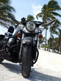 Suzie Carina Harley Davidsonb0nowd5220.jpg