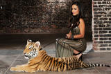 Layla Sin - Easy Tiger -t46t6pgpdu.jpg