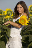 Rimma-A-The-Sunflower--049ap4bn3l.jpg